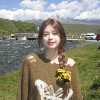 木材宝藏狗