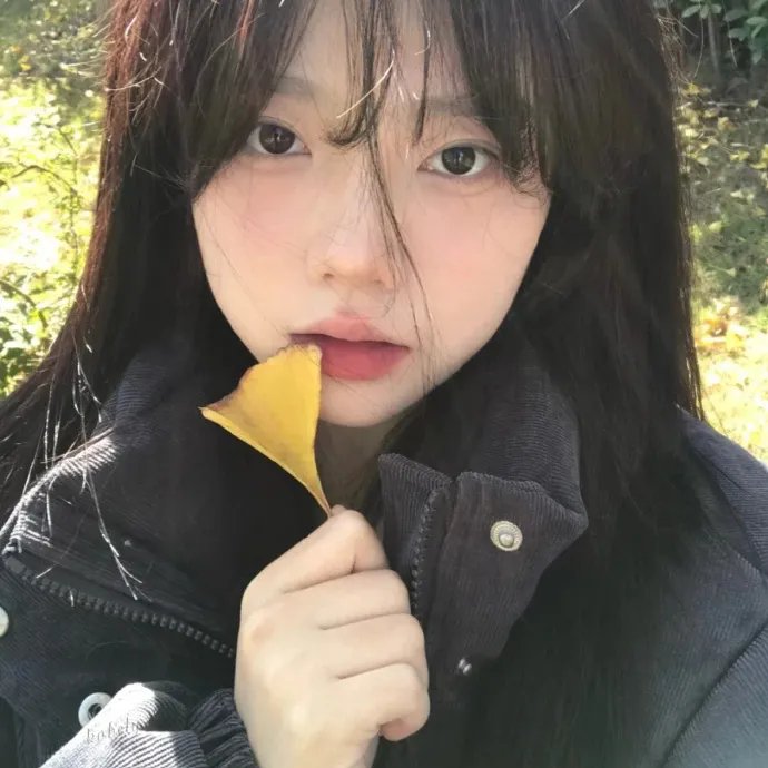 蓝衣士兵